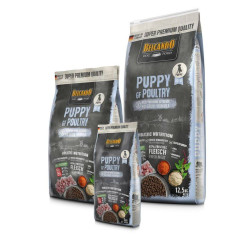 Belcando Puppy GF Poultry begrūdis sausas maistas su naminių paukščių mėsa jauniems šuniukams